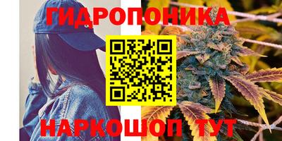 эйфоретик Бузулук