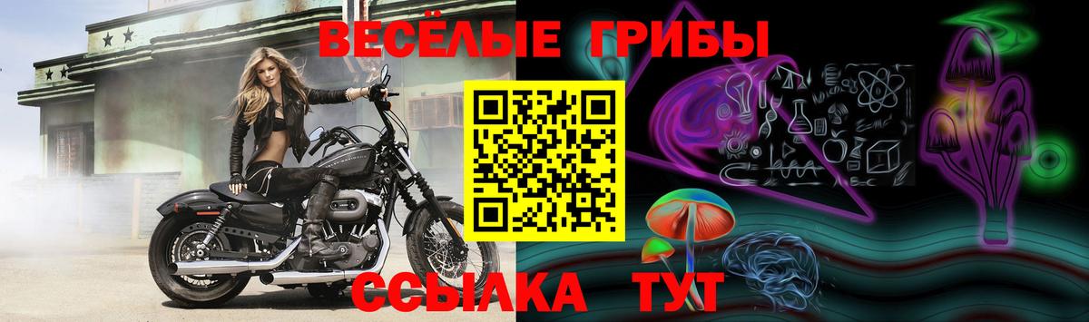 Краснокамск  Псилоцибиновые грибы Magic Shrooms  Вход с VPN 